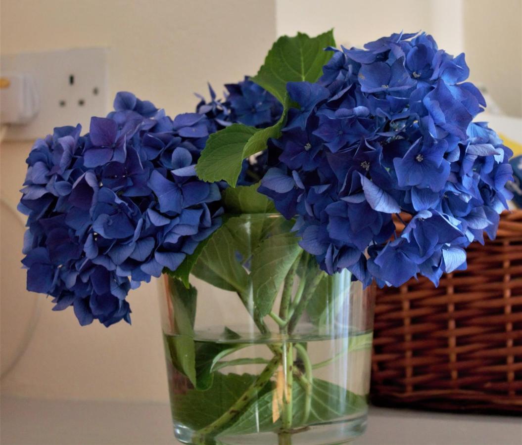 Remarkable Apartment In Kenmare Ireland מראה חיצוני תמונה